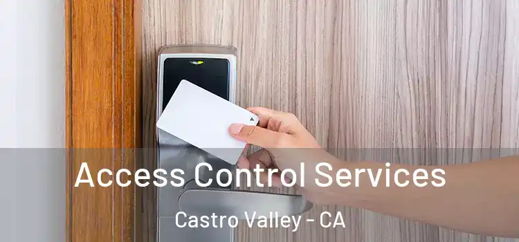 Access Control Services Castro Valley - CA