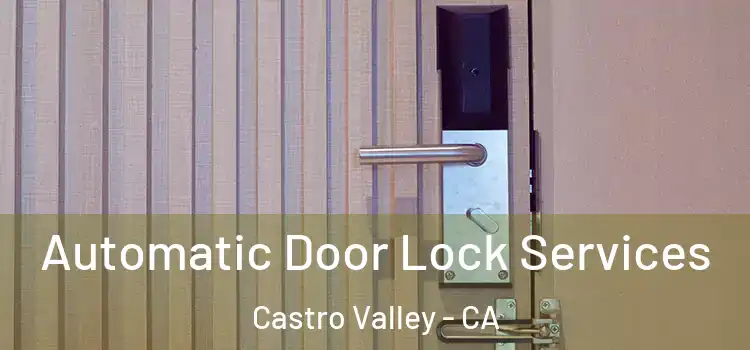 Automatic Door Lock Services Castro Valley - CA