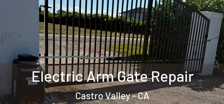 Electric Arm Gate Repair Castro Valley - CA