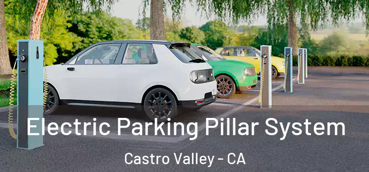 Electric Parking Pillar System Castro Valley - CA