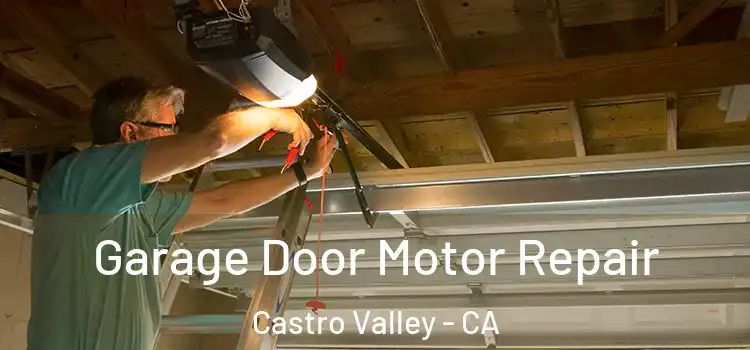  Garage Door Motor Repair Castro Valley - CA