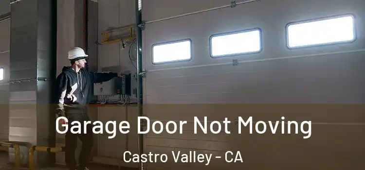  Garage Door Not Moving Castro Valley - CA