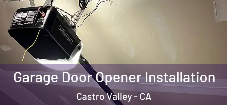  Garage Door Opener Installation Castro Valley - CA