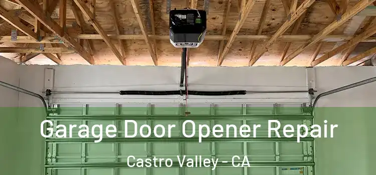  Garage Door Opener Repair Castro Valley - CA