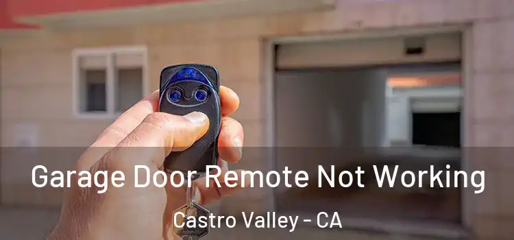  Garage Door Remote Not Working Castro Valley - CA