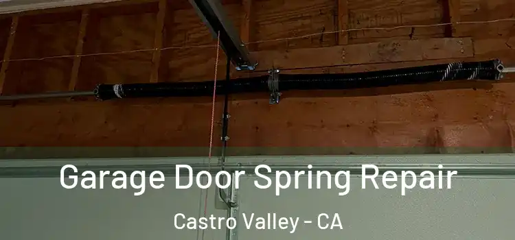  Garage Door Spring Repair Castro Valley - CA