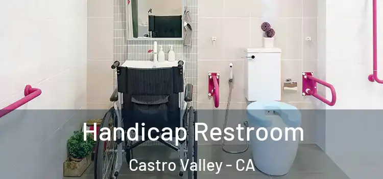 Handicap Restroom Castro Valley - CA