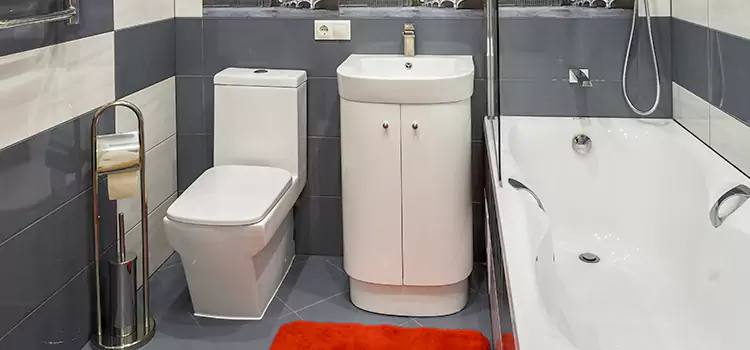 Hansgrohe Shaving Mirror Castro Valley