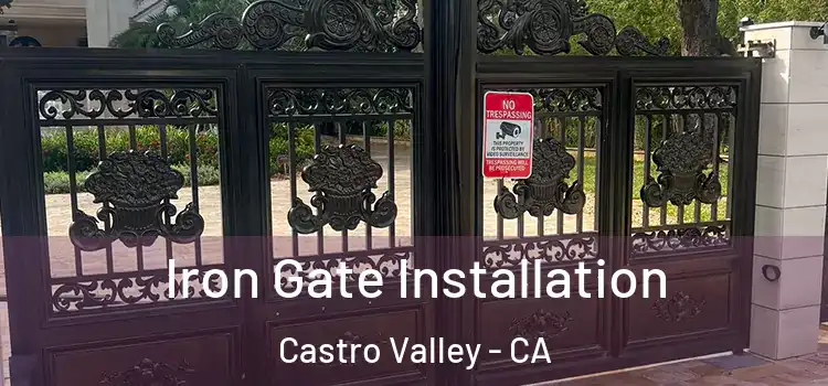 Iron Gate Installation Castro Valley - CA