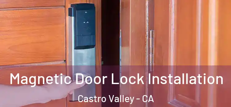  Magnetic Door Lock Installation Castro Valley - CA