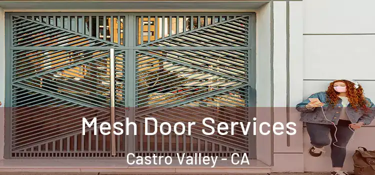 Mesh Door Services Castro Valley - CA