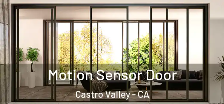 Motion Sensor Door Castro Valley - CA