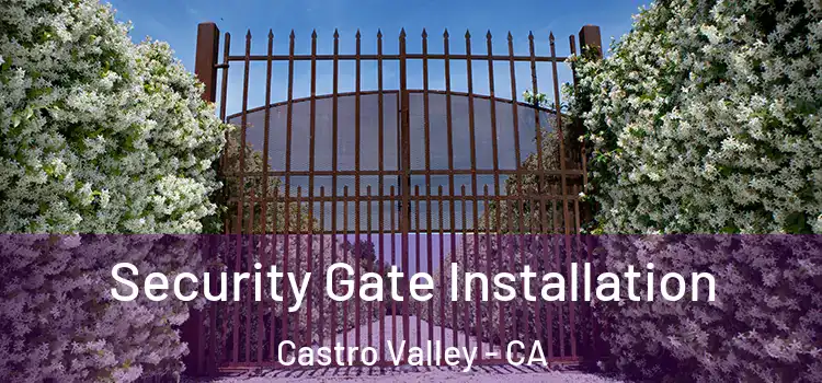 Security Gate Installation Castro Valley - CA
