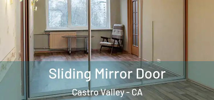  Sliding Mirror Door Castro Valley - CA